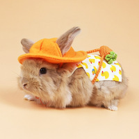 Pet Bunny Clothes królik rozwijana smycz zestaw oddychająca wycieczka królik rozwijana smycz małe szelki dla zwierząt smycze Bunny Pet 1